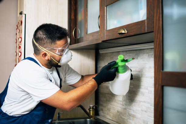 Best Commercial Pest Control Services  in Georgetown, TX
