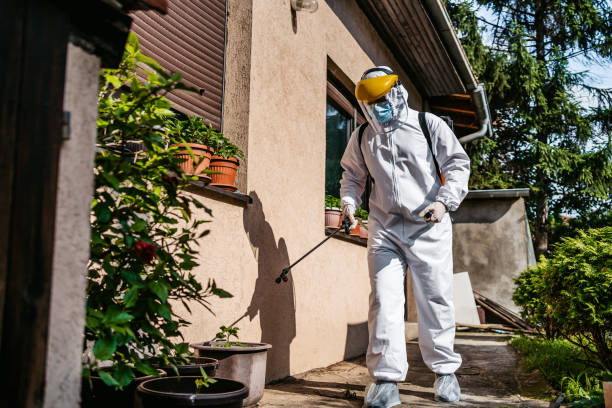 Best Mosquito Control Services  in Georgetown, TX