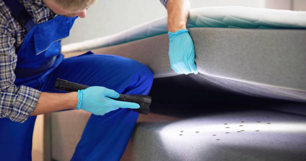 Best Pest Control Near Me  in Georgetown, TX