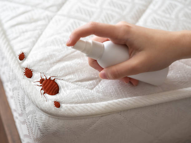 Best Emergency Pest Control  in Georgetown, TX