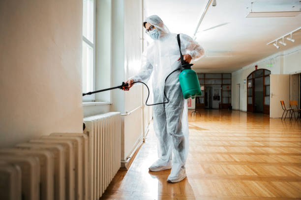 Best Cockroach Control Services  in Georgetown, TX
