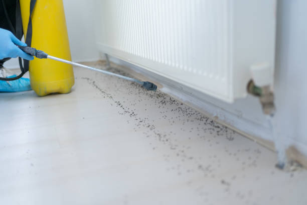 Best Best Pest Control Companies  in Georgetown, TX