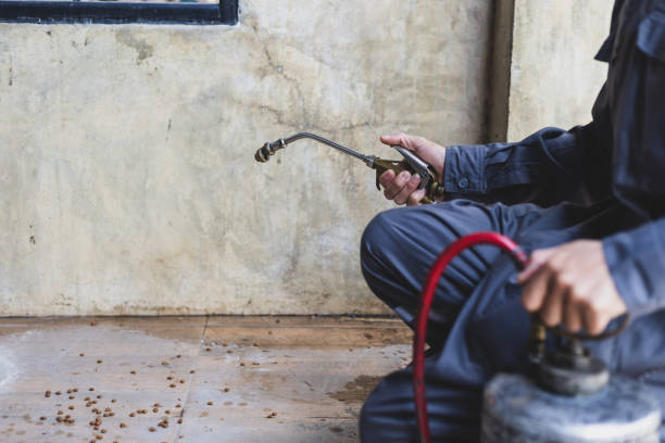 Professional Pest Control in Georgetown, TX